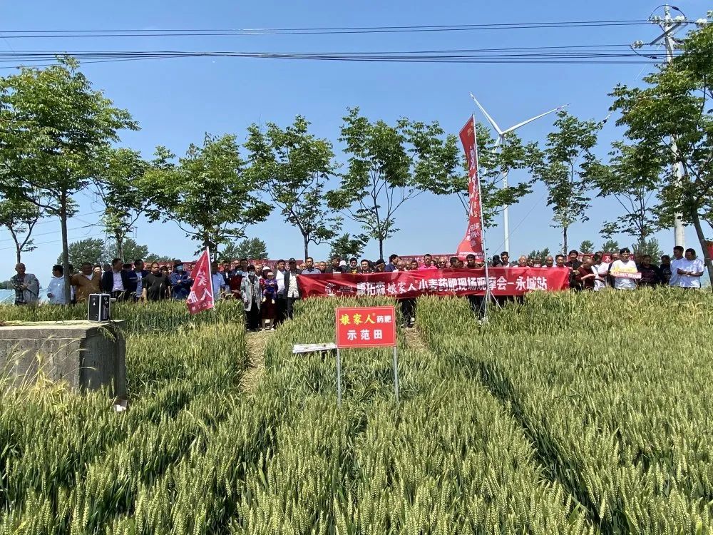 正版资料与内部资料