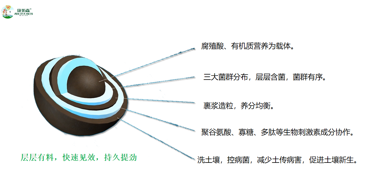 正版资料与内部资料